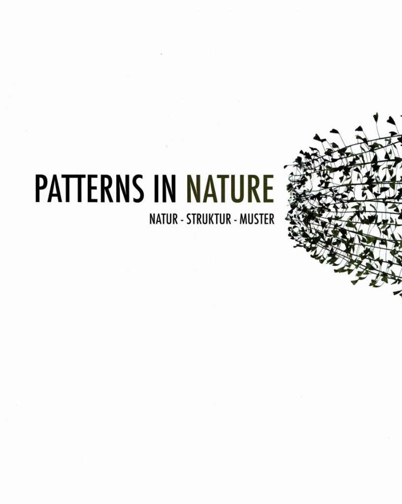 PATTERNS IN NATURE. NATUR-STRUKTUR-MUSTER